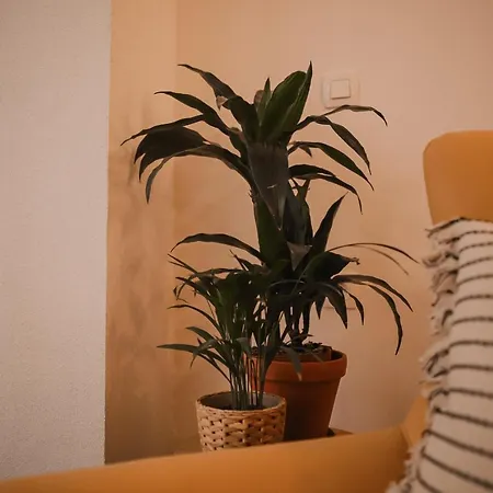Apartment Neo Mostar